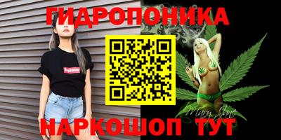 шишки Донской