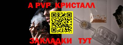 прущие грибы Заводоуковск