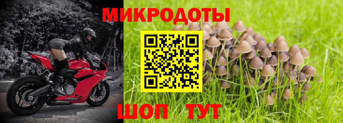 Псилоцибиновые грибы GOLDEN TEACHER Майский